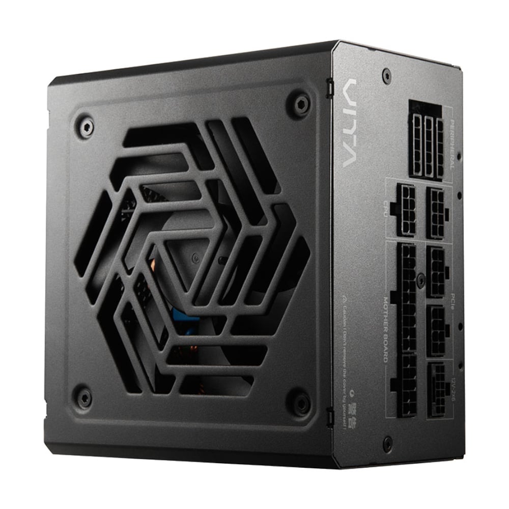 FSP VITA GM 850W 80 PLUS Gold Modular Power Supply FSP